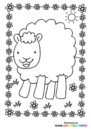 Sheep on a field
