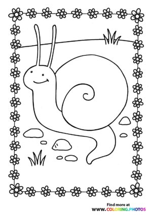 Snail on a field
