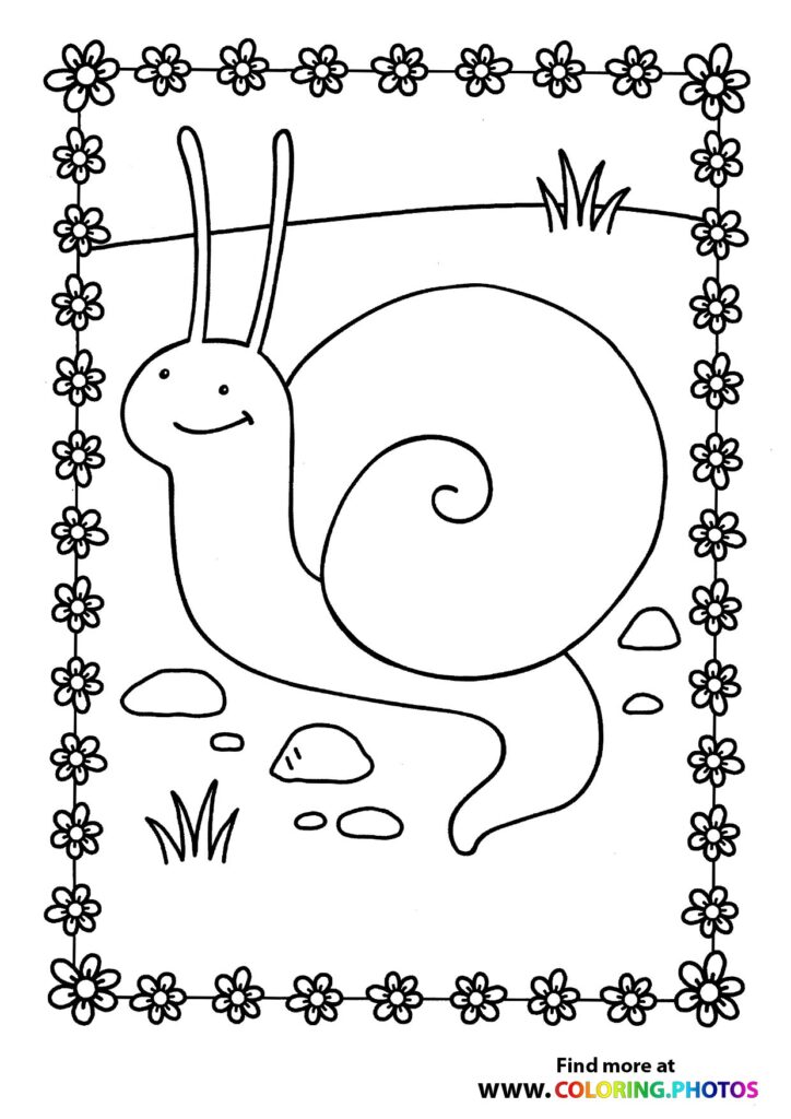 Snail on a field