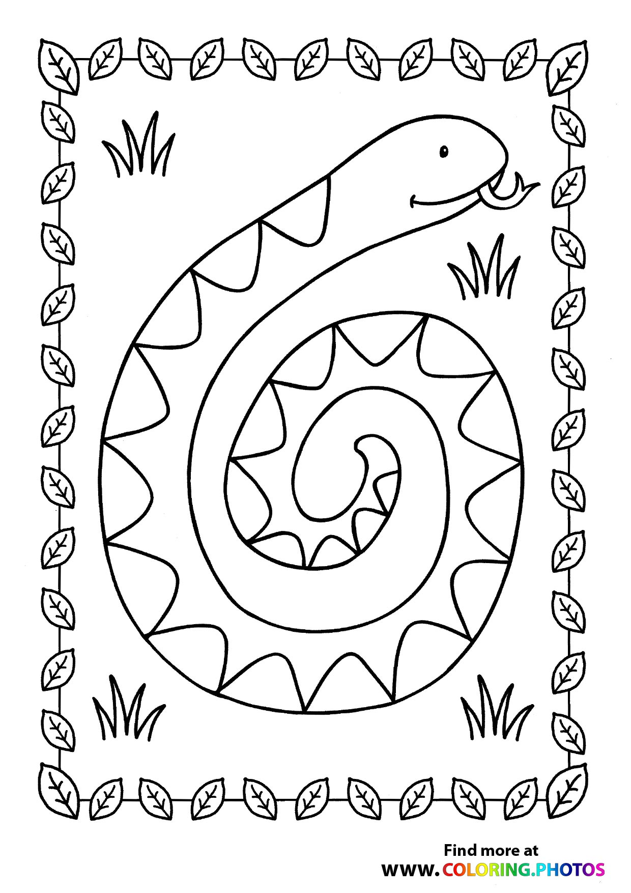 Snake on a field