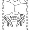 Spider hanging from the net