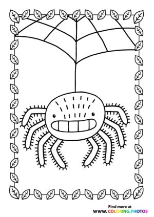 Net