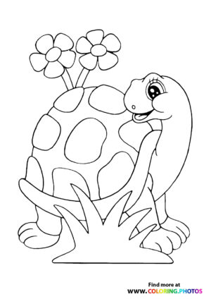 Turtle in nature